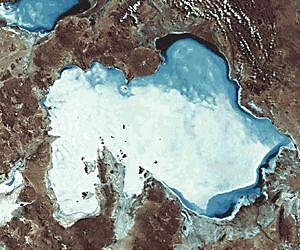 Bacteria from Salar de Uyuni in Bolivia conceal bioplastic