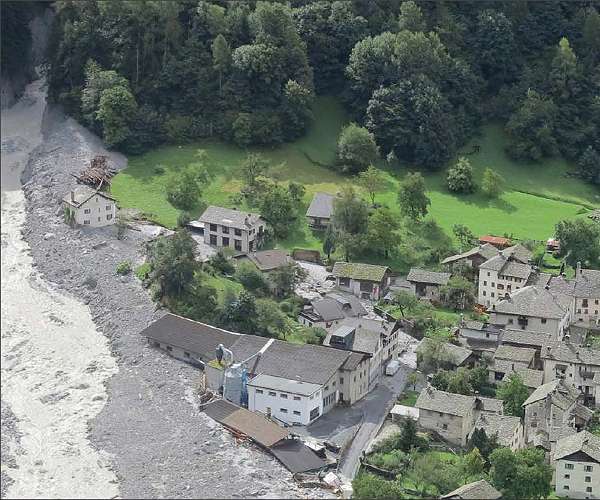 Climate's toll on trees threatens the sound of music