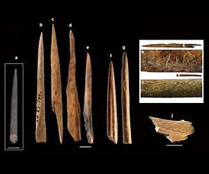 Africa's Homo sapiens were the first techies