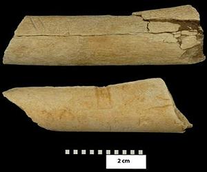 Oldest Evidence Of Stone Tool Use And Meat-Eating Among Human Ancestors