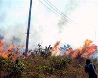 Indonesia Aims To Halve Haze-Causing Fires