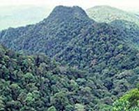 Malaysian dam project threatens world heritage park: activists