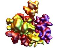 Quantum simulation of a disordered system explain quantum many-particle problem