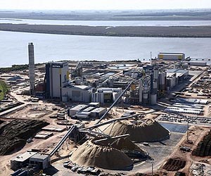Asian paper giant to halt deforestation