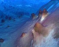 Scientists confirm array of microorganisms in buried Antarctic lake