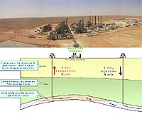 Institute aims to promote carbon capture