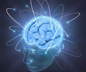 Weapons testing data determines brain makes new neurons into adulthood