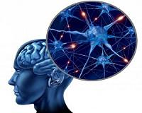Futuristic brain probe allows for wireless control of neurons