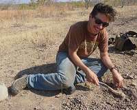 Variation in the recovery of tetrapods