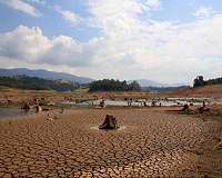 Brazil environment ministry condemns Bolsonaro plan