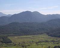 Tropical forest reserves slow down global warming