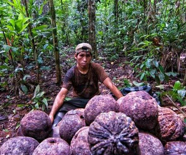 Brazil Senate approves bill restricting Indigenous land rights