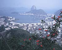 Brazil blackouts result of cyber hacking: report