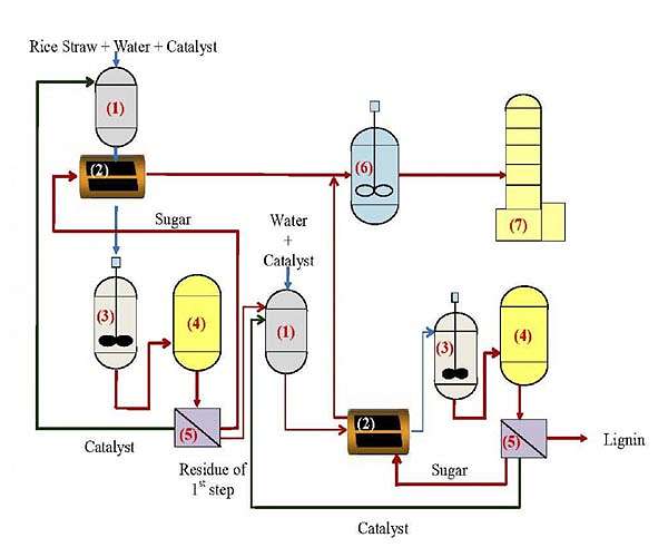 Aston University to help power Indonesia with affordable energy made from rice straw