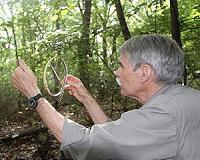 Researchers take cue from spider glue in efforts to create new materials