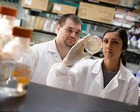 Deep-sea bacteria could help neutralize greenhouse gas