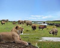 'Game-changing' research could solve evolution mysteries