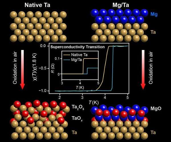 Magnesium protects tantalum, a promising material for making qubits