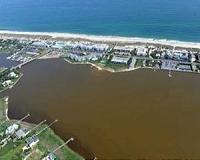 Brown Tide Algae Exploit Nutrient-Rich Coastlines