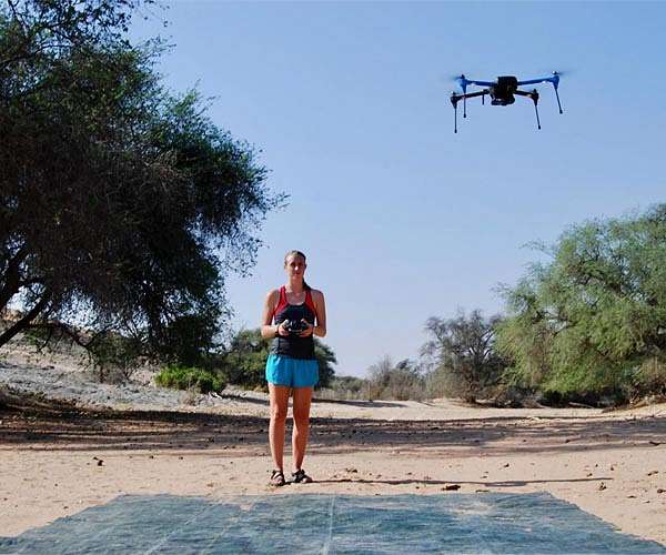 Drone and landsat imagery shows long-term change in vegetation cover along intermittent river