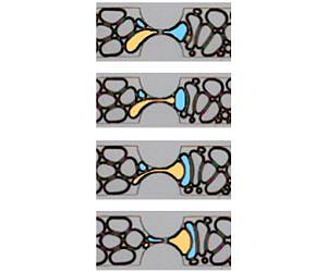 Clues to foam formation could help find oil