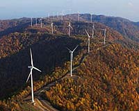 Citibank Chief Wants To Invest 50 Billion Dollars In 10-year Campaign For Better Environment