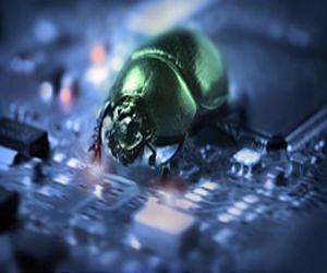 Jumping insect has first 'mechanical gears' found in nature