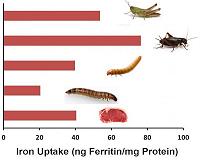 The buzz about edible bugs: Can they replace beef