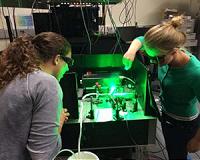 Diamonds may be the key to future NMR/MRI technologies