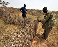 Burkina farmers successful in fight against advancing desert