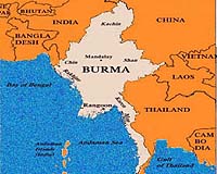 Extinction stalks Myanmar's forests
