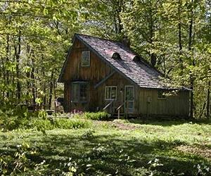 400-year study finds Northeast forests resilient, changing
