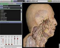 Italian-Chinese medical team to perform first head transplant