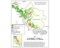 NASA Maps California Drought Effects on Sierra Trees