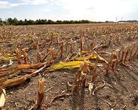 New Satellite Data Will Help Farmers Facing Drought