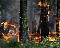 Cold Front Assists Deadly Forest Fires Raging In Western US