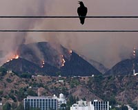 California wildfires a warning for other regions: Gov. Brown