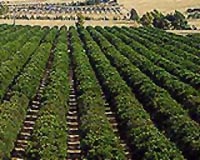 Air Quality Funding Boost For California Agriculture