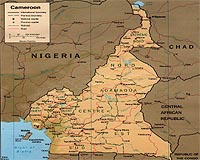 At least 11 dead in twin suicide bombing in Cameroon