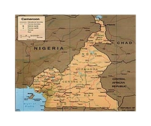 Rare strain of AIDS virus moves beyond Cameroon: doctors