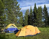 World's protected natural areas receive 8 billion visits a year