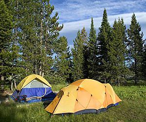 US national forests can provide public health benefits