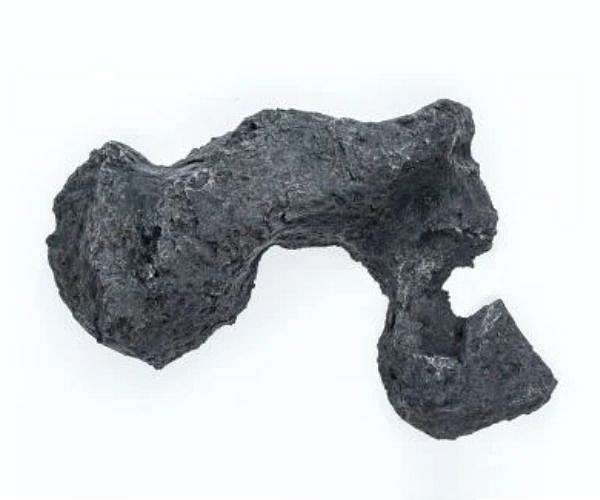 Iron rich asteroids show surprising resilience in impact simulation study