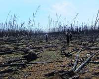 Research will help land managers take risk-analysis approach to new wildfire reality