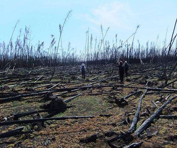 Arctic fires could release catastrophic amounts of C02: study