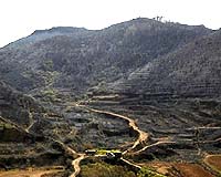 Canary Islands Fires An Environmental Catastrophe