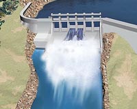 Australian dam project shelved to save fish, turtles