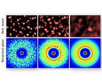 The ultrafast dance of liquid water