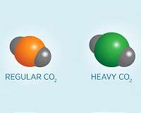 New method for identifying carbon compounds derived from fossil fuels