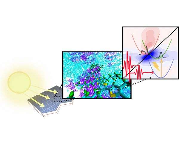 Modelling superfast processes in organic solar cell material